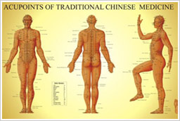 acupuncture chart